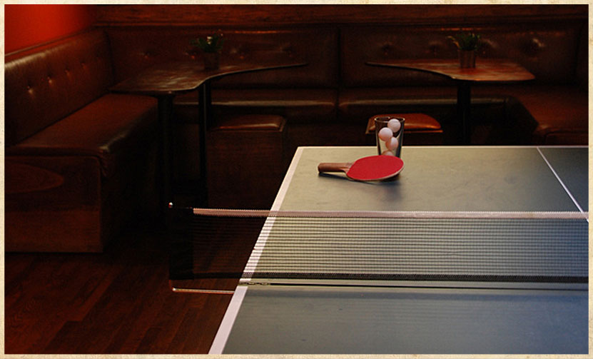 Ping pong table and paddle